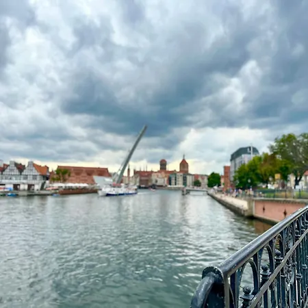 Mmrent Gold Проживание в семье